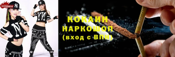 мдпв Протвино