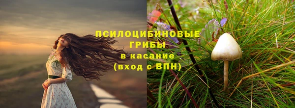 ECSTASY Абдулино