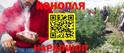 jwh Партизанск