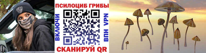 Псилоцибиновые грибы Cubensis  Ялуторовск 