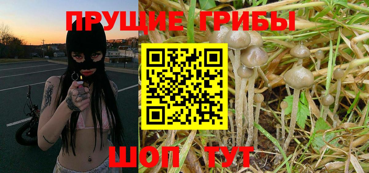 Ялуторовск  Галлюциногенные грибы ЛСД  Вход с VPN 