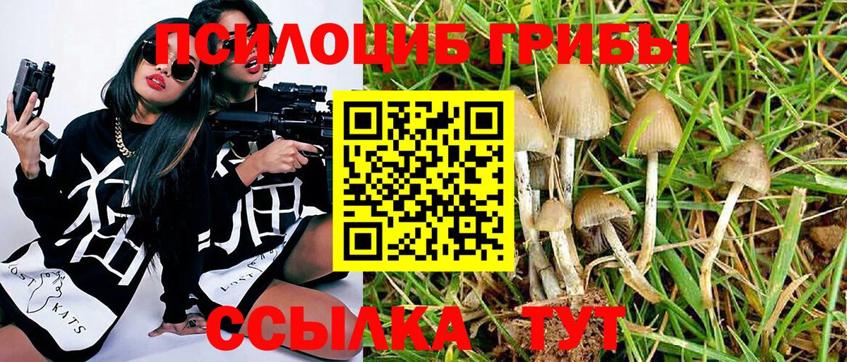 Галлюциногенные грибы GOLDEN TEACHER Ялуторовск