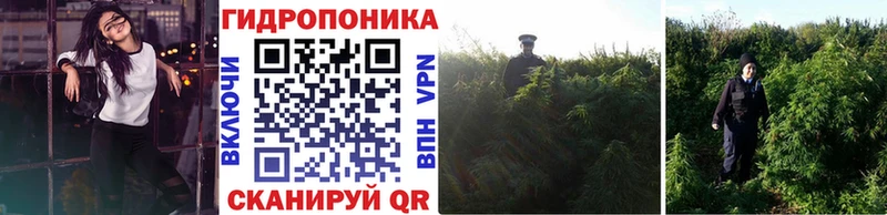 Бошки Шишки SATIVA & INDICA купить Ялуторовск